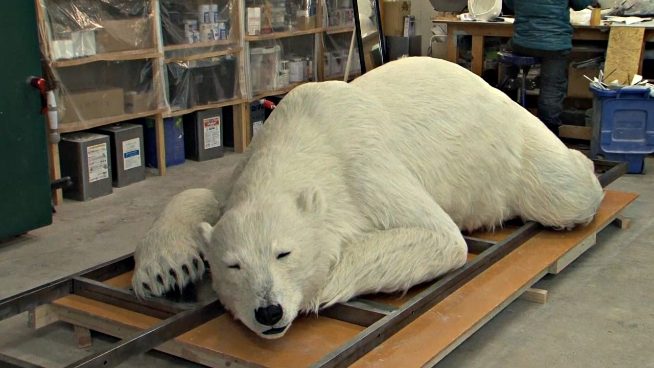 Японцы сделали реалистичного искусственного белого медведя