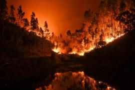 Сильнейшие лесные пожары в Португалии: 62 погибших