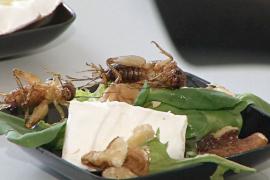 Учёные считают съедобных насекомых ответом на нехватку еды в будущем