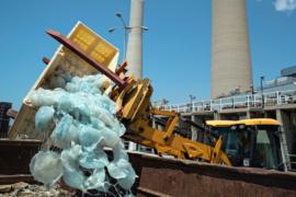 Крупнейшая израильская электростанция страдает от наплыва медуз