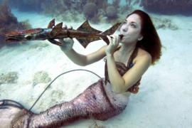 Подводный музыкальный фестиваль прошёл среди островов Флорида-Кис