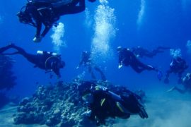 Богатое подводное наследие Албании откроют для дайверов-туристов