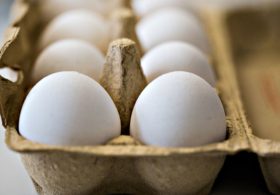 В Нидерландах арестовали двух подозреваемых в отравлении яиц фипронилом