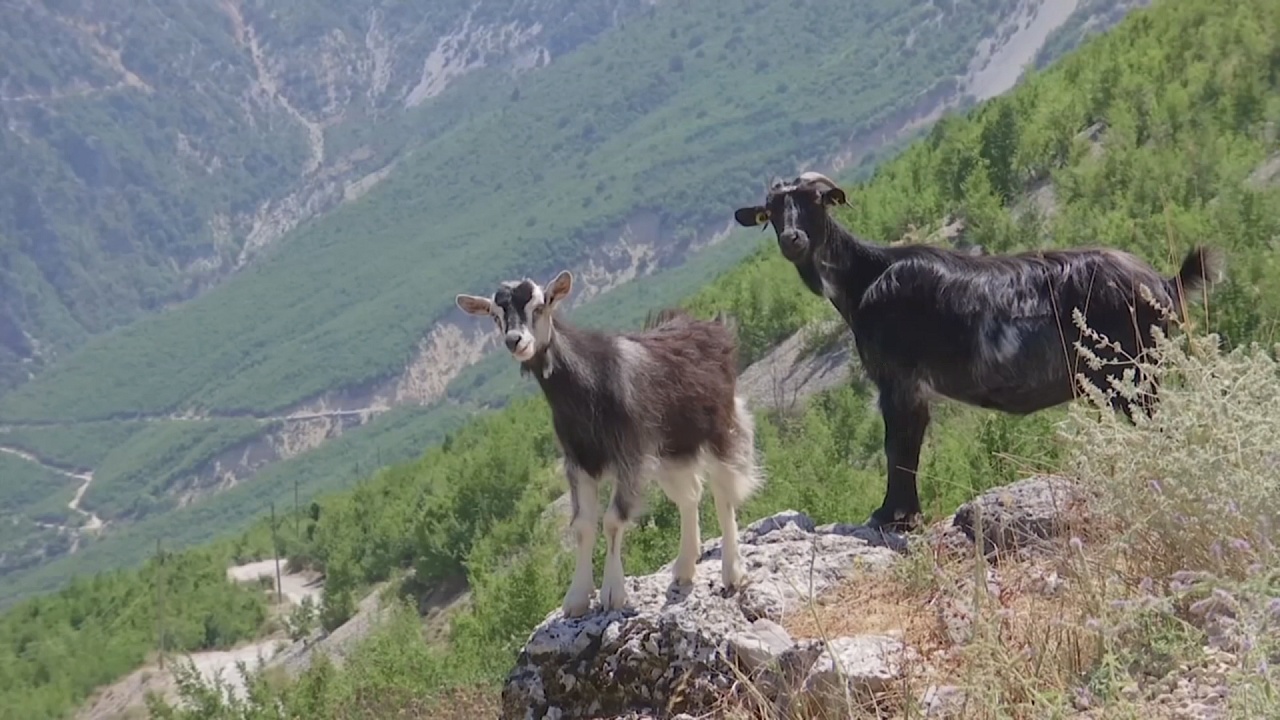 Малоизвестную албанскую деревню откроют для туристов