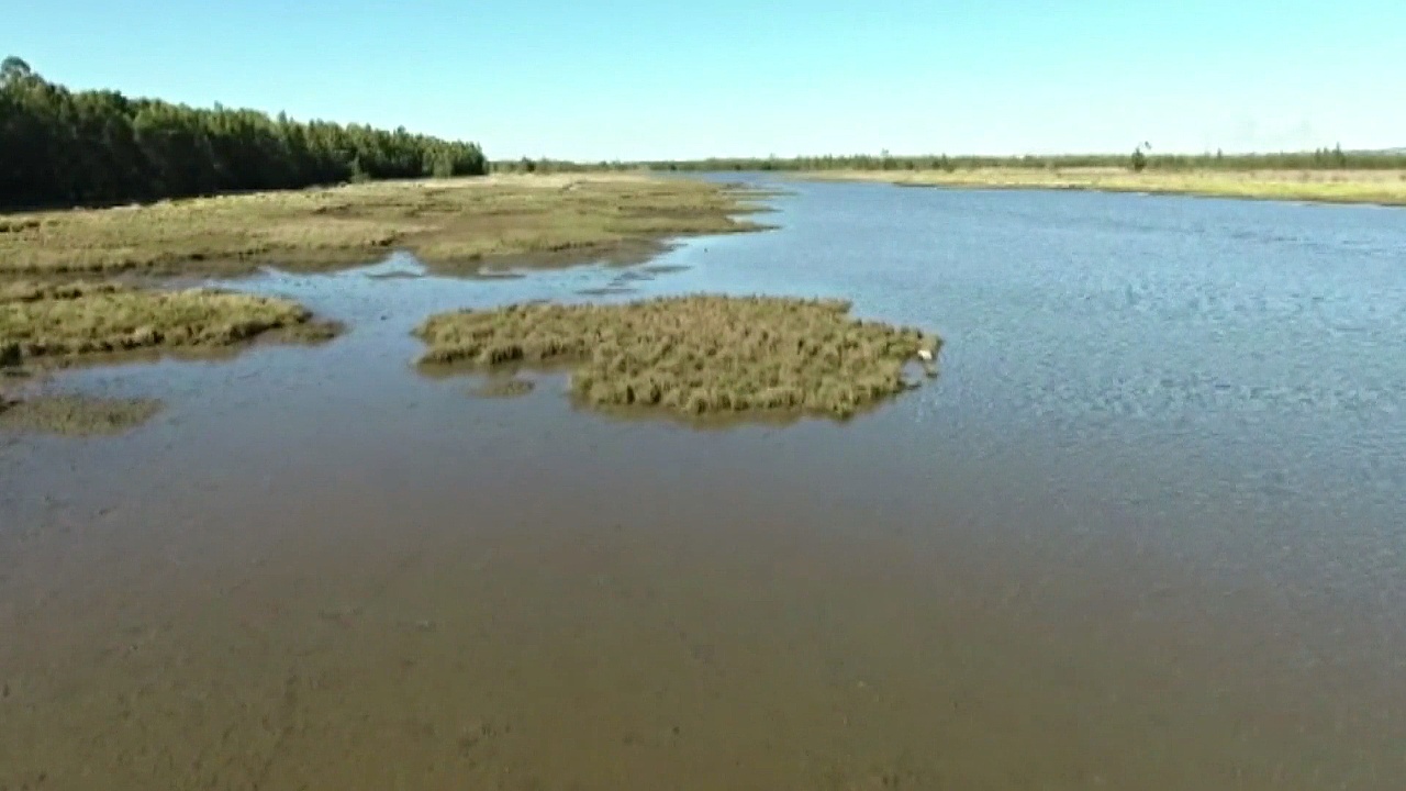 Прибрежные болота Австралии могут исчезнуть через 80 лет