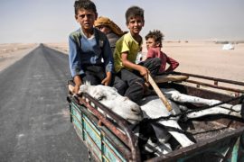 ООН призывает к паузе, чтобы люди смогли бежать из сирийской Ракки