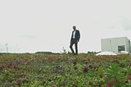 В Нидерландах создали «умные зелёные» крыши