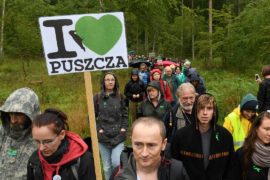 В Польше протестуют против непрекратившейся вырубки Беловежской пущи