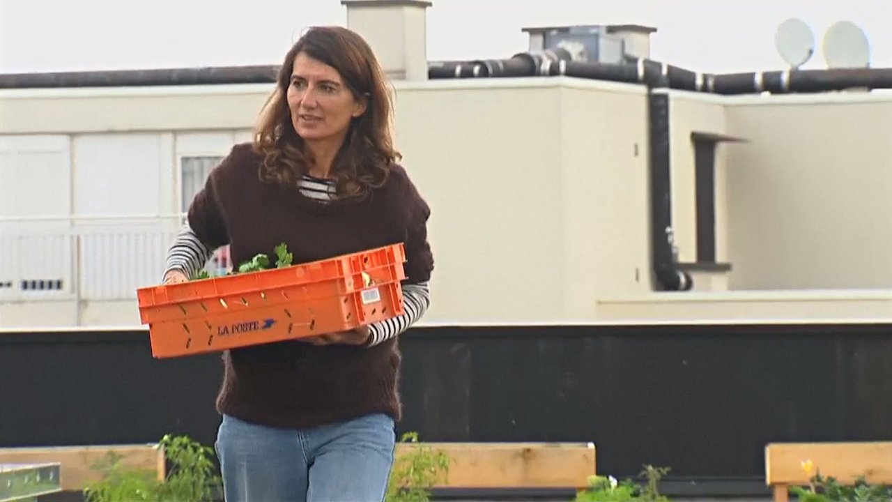 Работники парижской почты выращивают овощи на крыше