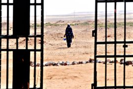 МОМ: в Сахаре гибнет больше мигрантов, чем в Средиземном море