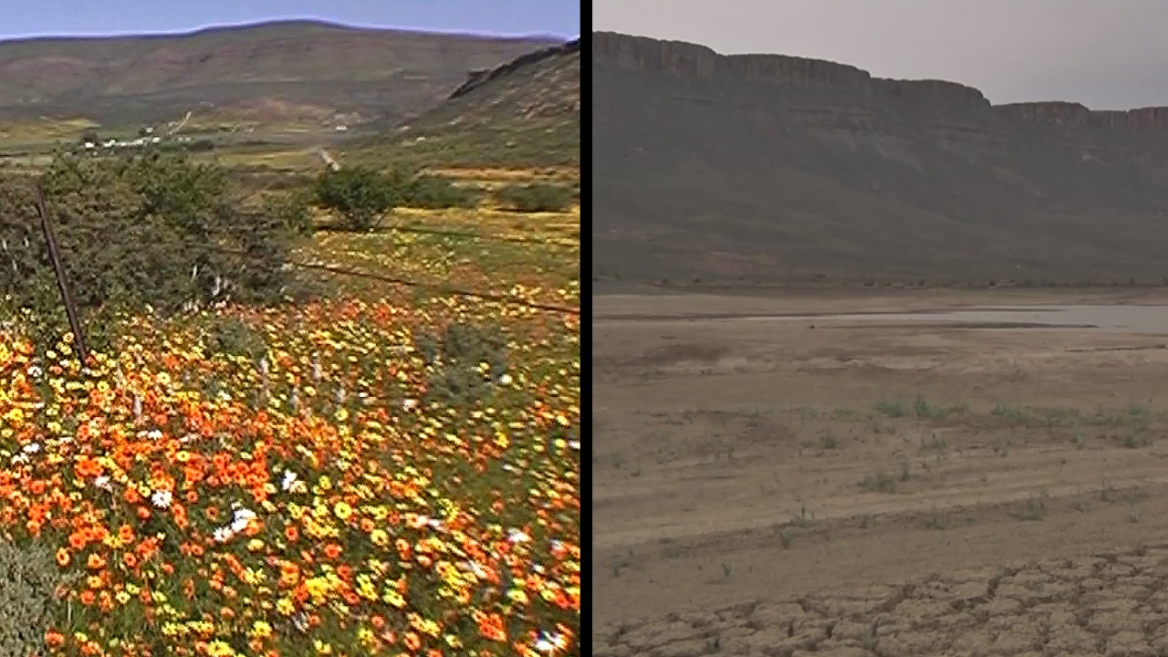Засуха лишила ЮАР цветущей долины