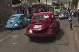 Снова в строю: легендарные Volkswagen «жук» заменили такси в Мексике