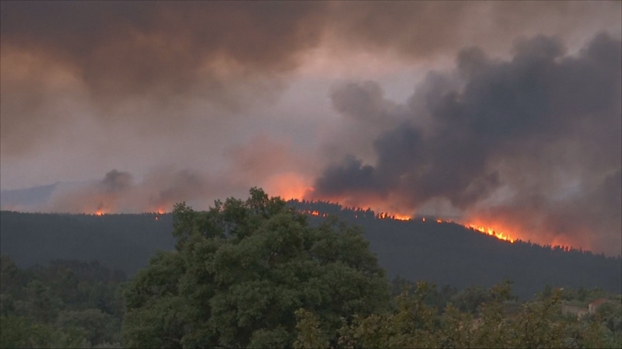Число жертв лесных пожаров в Португалии превысило 30
