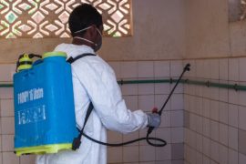 Вспышка чумы на Мадагаскаре: более 90 умерших