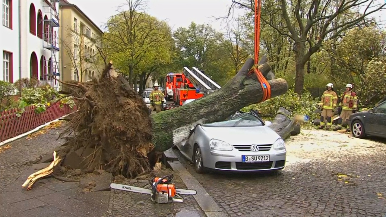 В Германии устраняют последствия урагана «Герварт»
