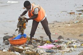Самую масштабную в мире очистку пляжа прекратили из-за угроз