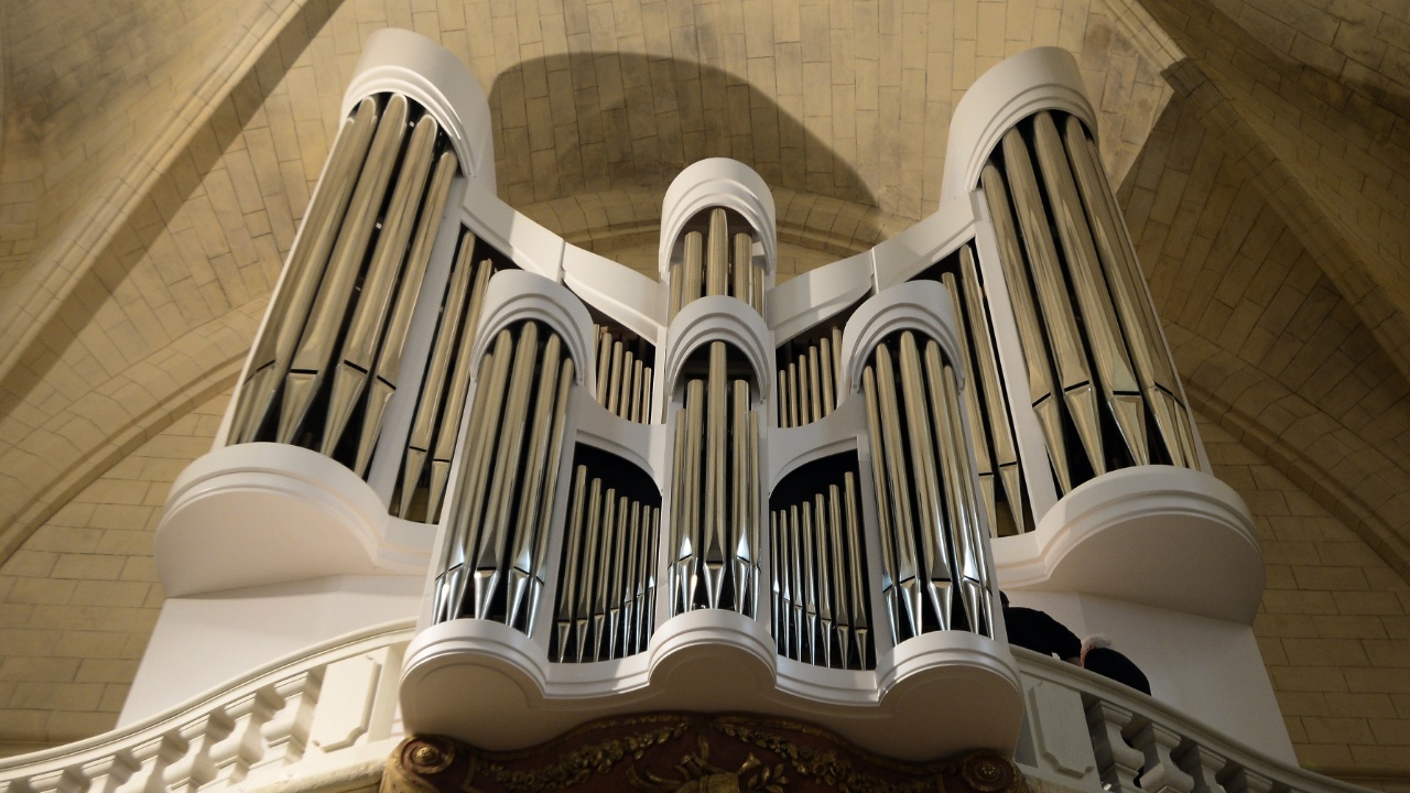 Игра на органах в Германии может попасть в список ЮНЕСКО