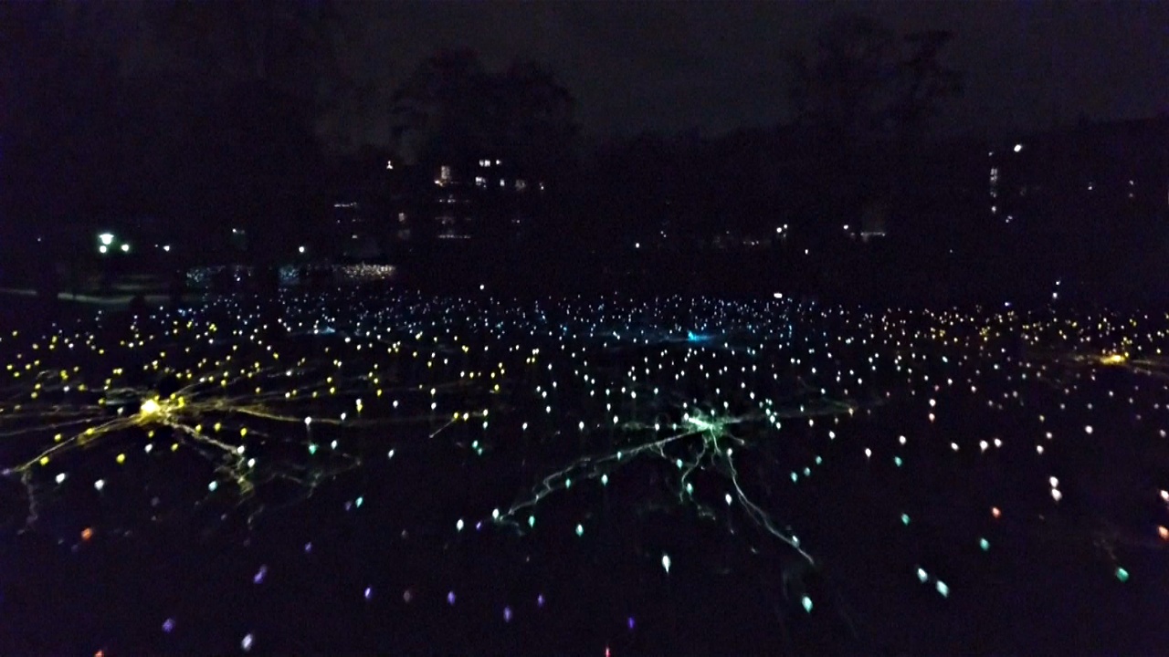 В родном городе Г. Х. Андерсена зажгли 9000 лампочек в его честь