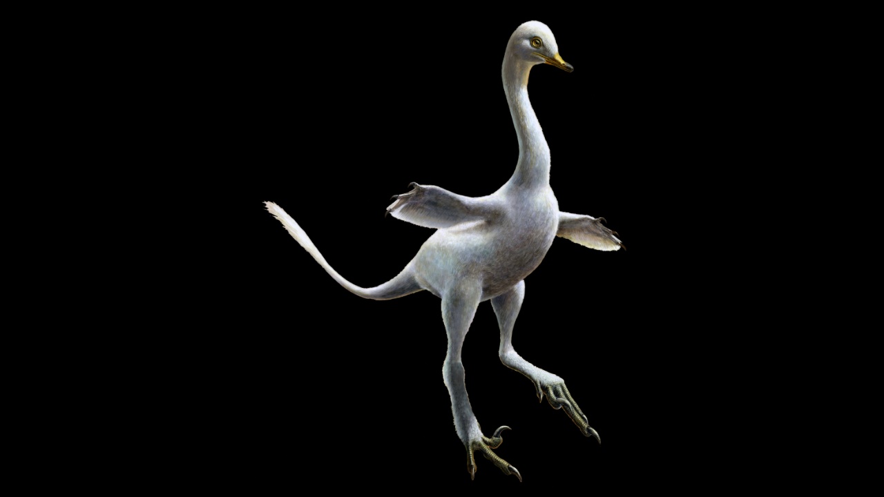Учёные обнаружили динозавра-утку с длинной шеей
