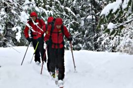 Опасный путь через Альпы: мигранты замерзают из-за сильного снегопада