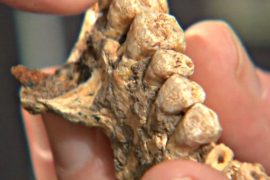 Древнейшие человеческие останки за пределами Африки найдены в Израиле