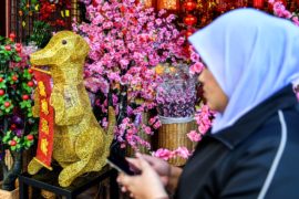 Почему в Малайзии решили обойтись без символа Китайского нового года