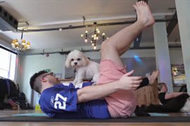 На йогу — с собакой: новое увлечение британцев
