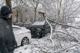 Снежный шторм в Нью-Йорке привёл к отмене авиарейсов и обрыву электропроводов