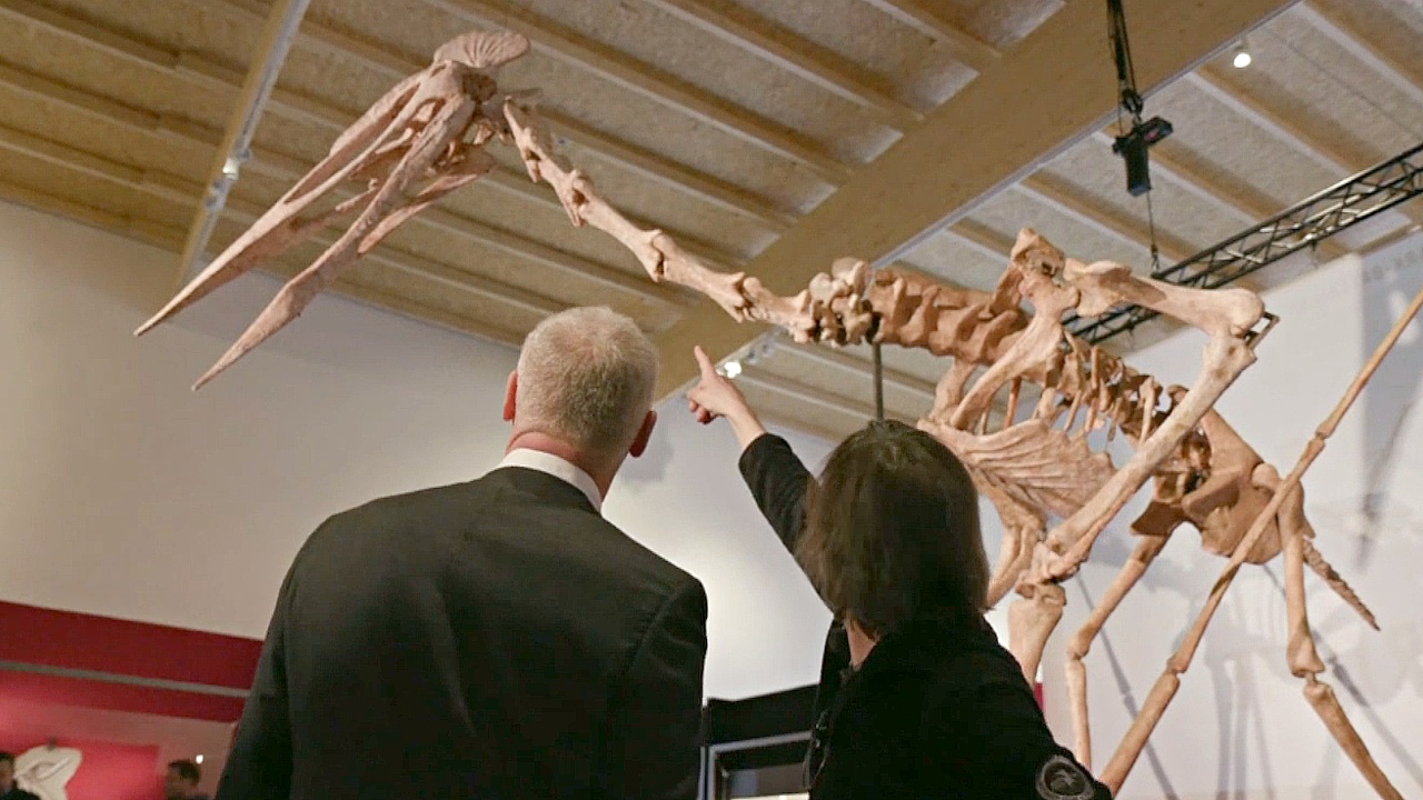 Уникальный скелет птерозавра показали на выставке в Германии