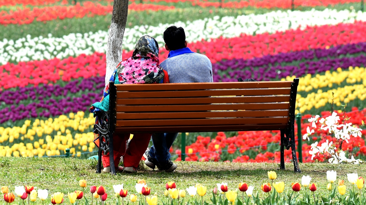 В индийском Кашмире зацвело самое большое в Азии поле тюльпанов