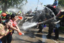 Слоны обливают прохожих и туристов на фестивале Сонгкран в Таиланде