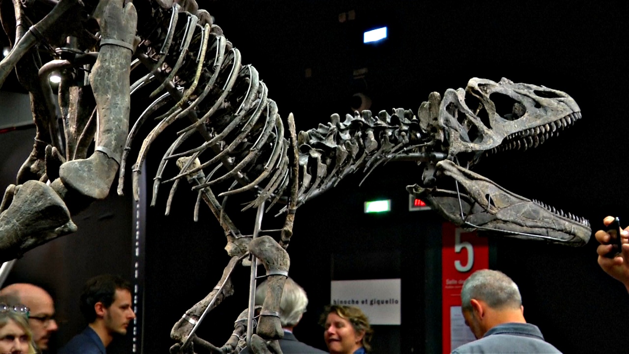 Двух гигантских динозавров продали на аукционе в Париже