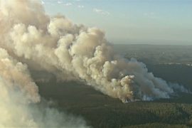 В Сиднее ввели режим ЧП из-за лесных пожаров