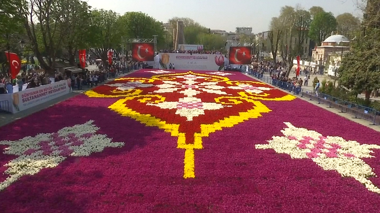 Разноцветный ковёр из тюльпанов раскинулся в центре Стамбула