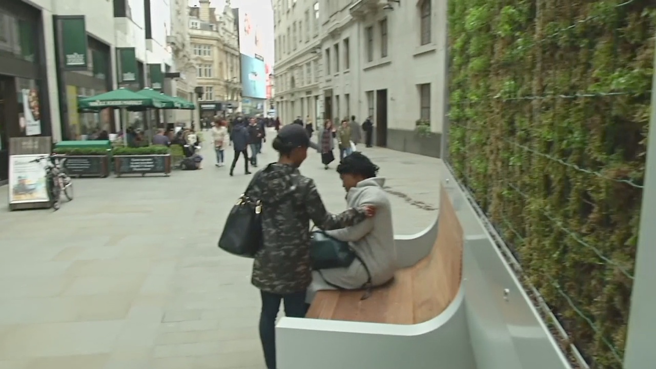 Стена изо мха: как в Лондоне создают оазис из чистого воздуха Стена изо мха: как в Лондоне создают оазис из чистого воздуха