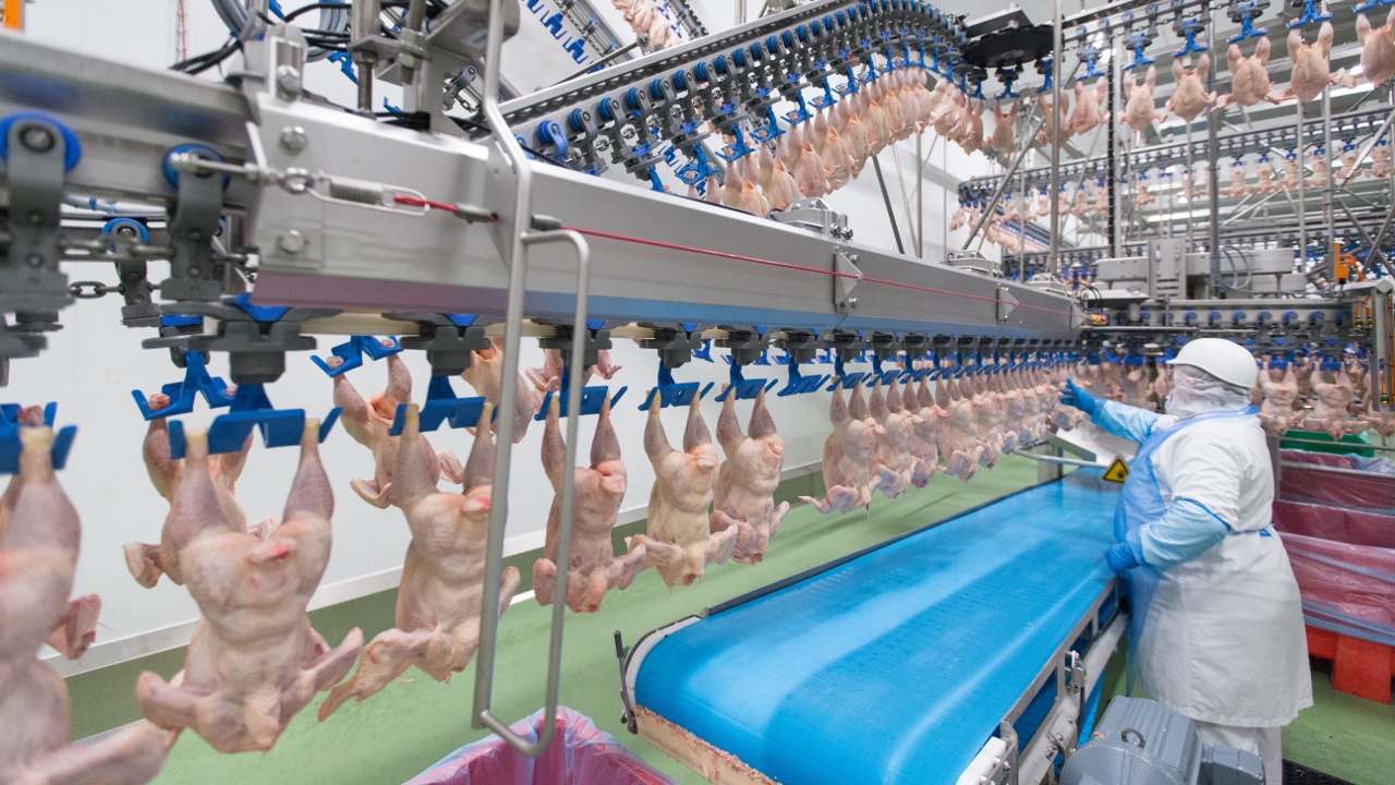 ЕС одобрил запрет на импорт мяса птицы из Бразилии