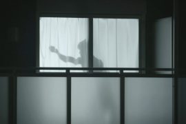 «Мужчины за занавеской» — новые защитники одиноких японок
