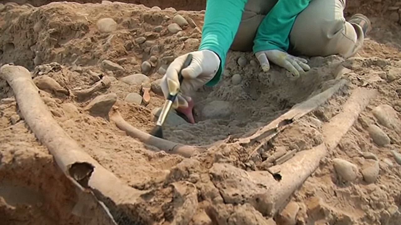 В Перу обнаружили останки людей, живших 1300 лет назад