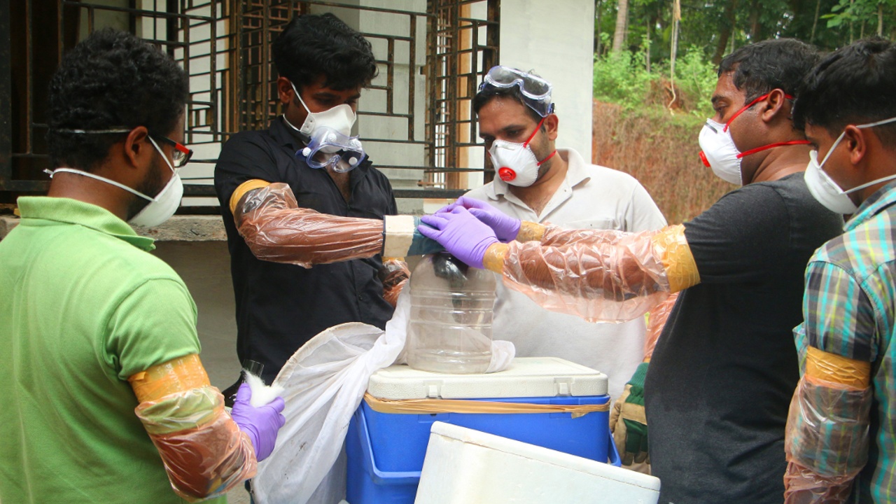 В Индии умерли 10 заразившихся редким вирусом Нипах