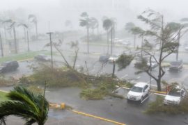 Исследователи: жертв урагана «Мария» в Пуэрто-Рико было в сотни раз больше
