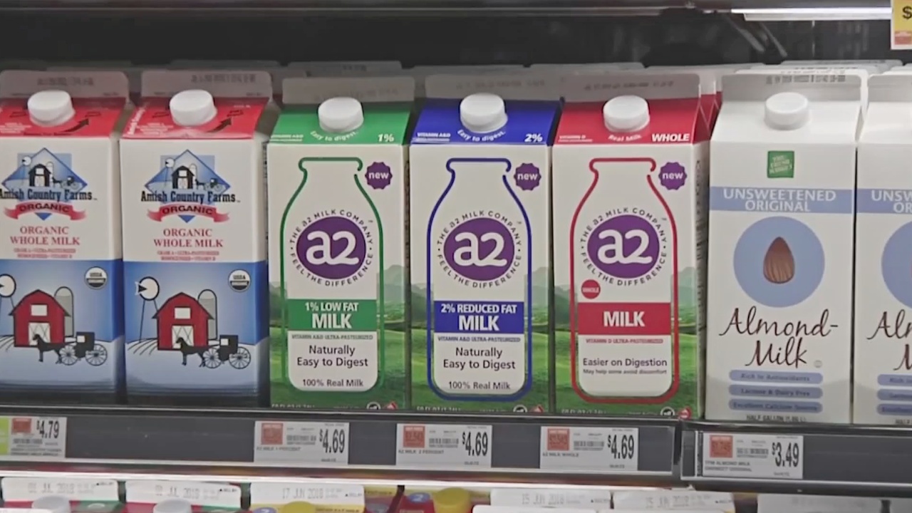 Фермеры призывают пить молоко А2 с «правильным» белком