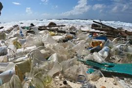 Пластиковый мусор: возможно ли решить проблему