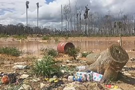 В Перу научились быстро реагировать на вырубку леса