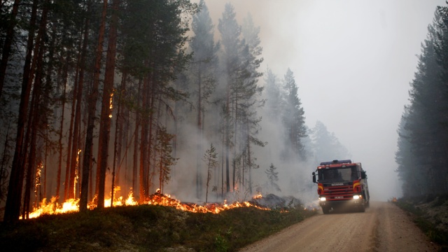 Тушить лесные пожары в Швеции помогают итальянцы