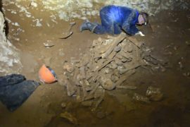 В крымской пещере нашли кости древних слонов и носорогов