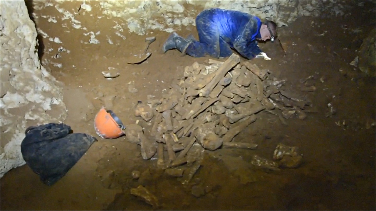 В крымской пещере нашли кости древних слонов и носорогов