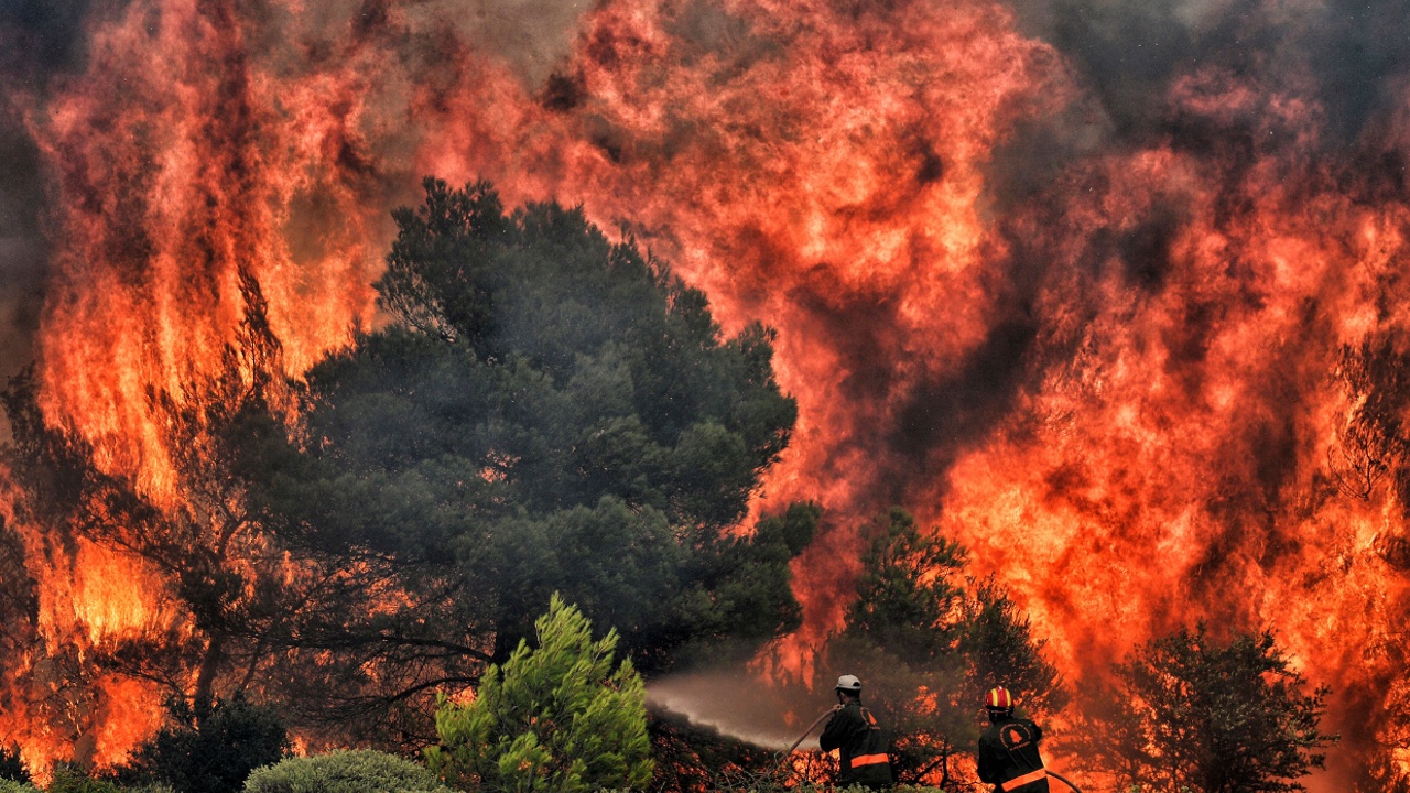 Число жертв пожаров в Греции достигло 74