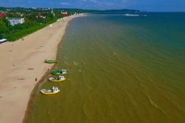 В Польше из-за цветения водорослей закрывают пляжи