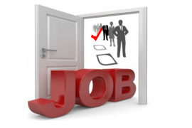 Pchel.net – помощь в поиске персонала