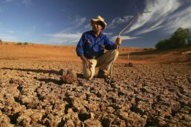 Фермеры Австралии: «Такой засухи не было со времён Второй мировой»